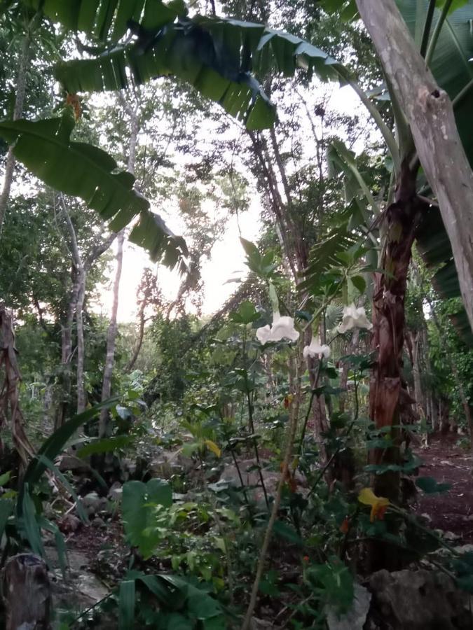 Ecolodge Uh May Francisco Uh May Esterno foto